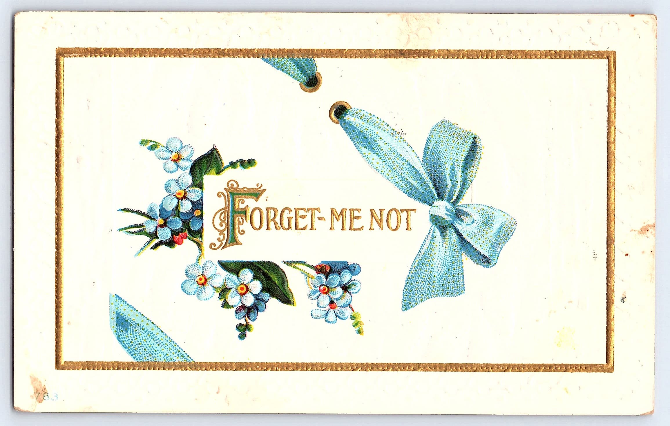 Forget-Me-Not Postcard, Divided Back, 1911, Washington Postmark