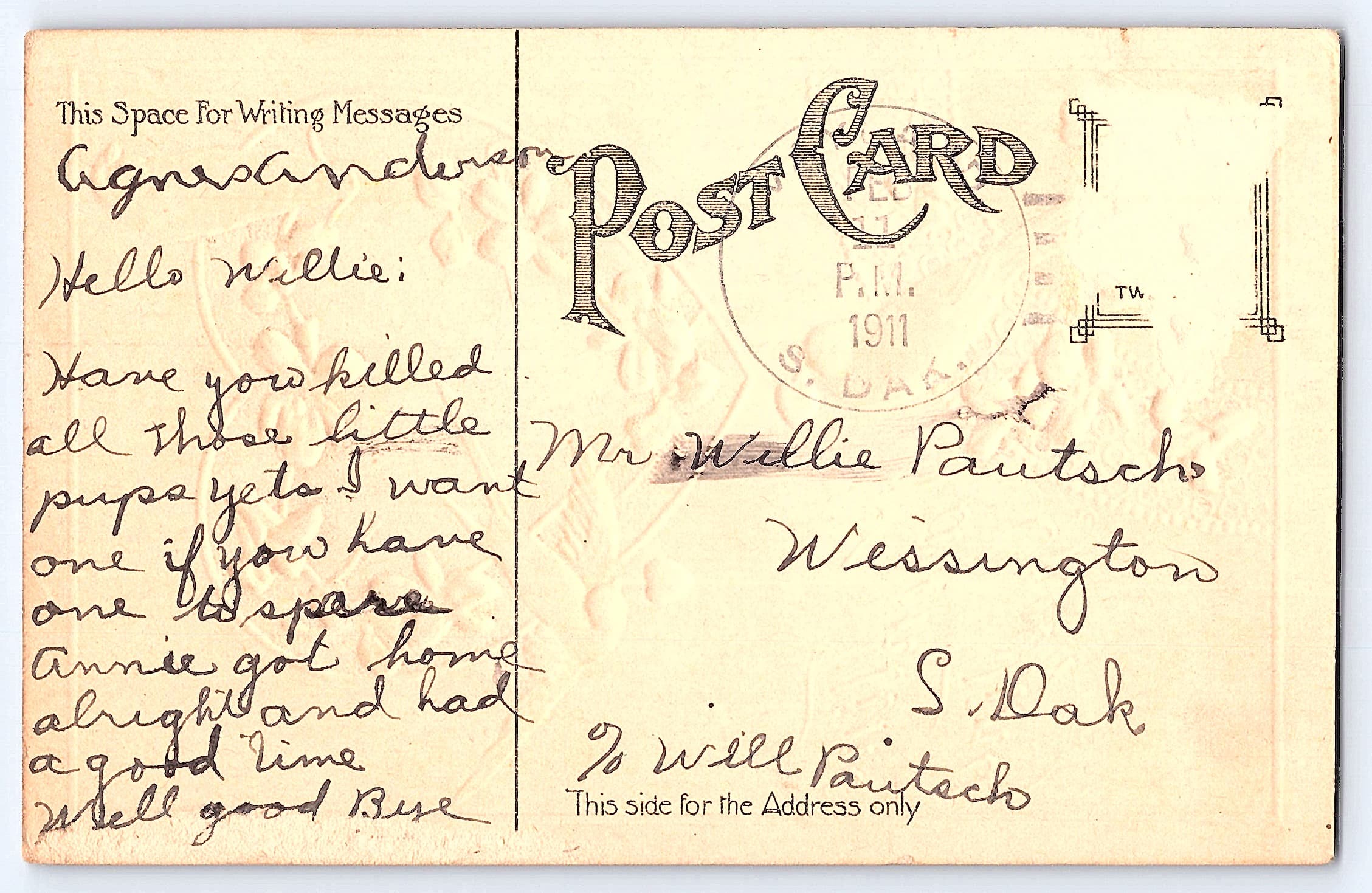 Valentine Greeting Postcard, Divided Back, Birds & Heart, 1911 Postmark - Back