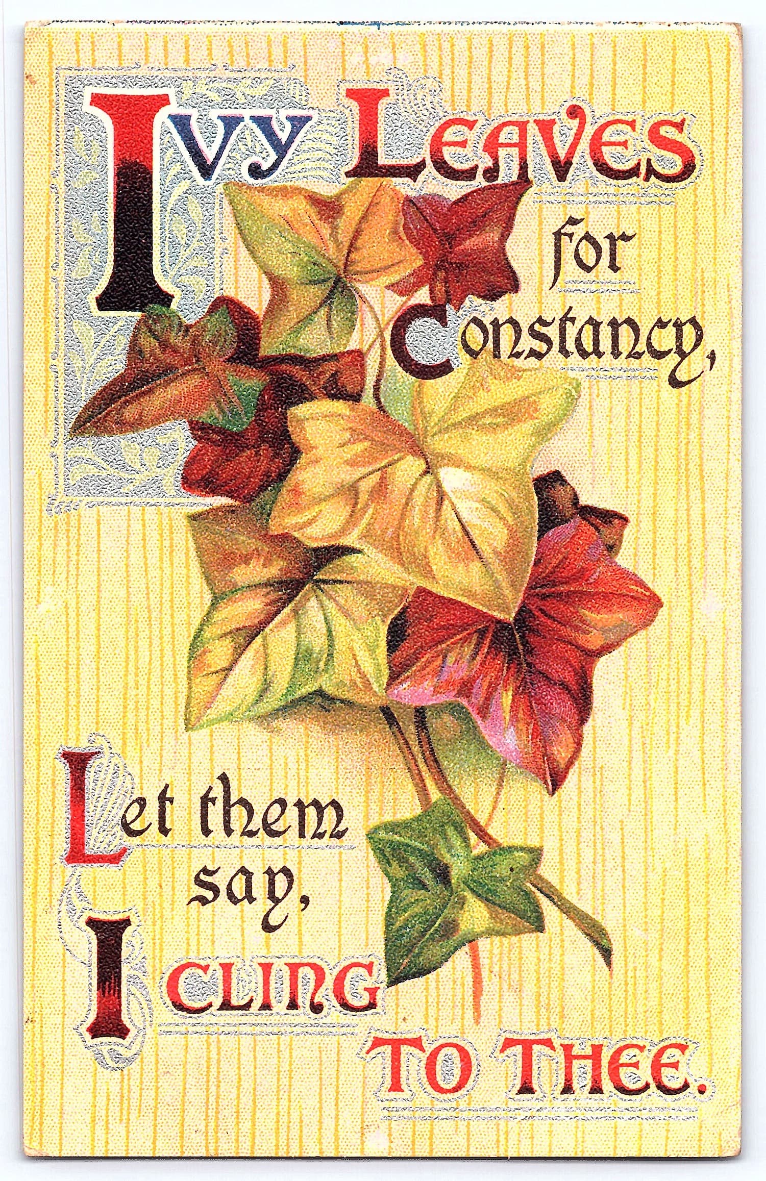 Ivy Leaves for Constancy Postcard, Mount Vernon, Linen, 1910s