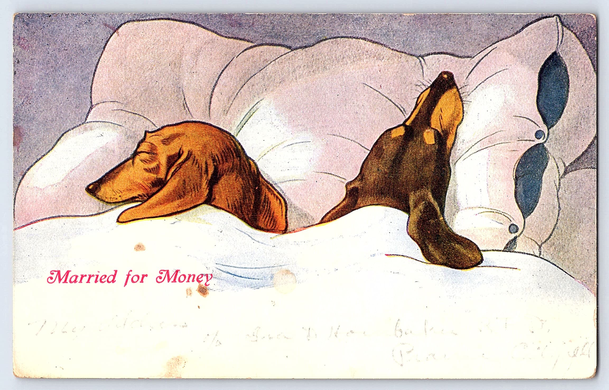 Married for Money, Divided Back Postcard, Prairie City IL, 1910