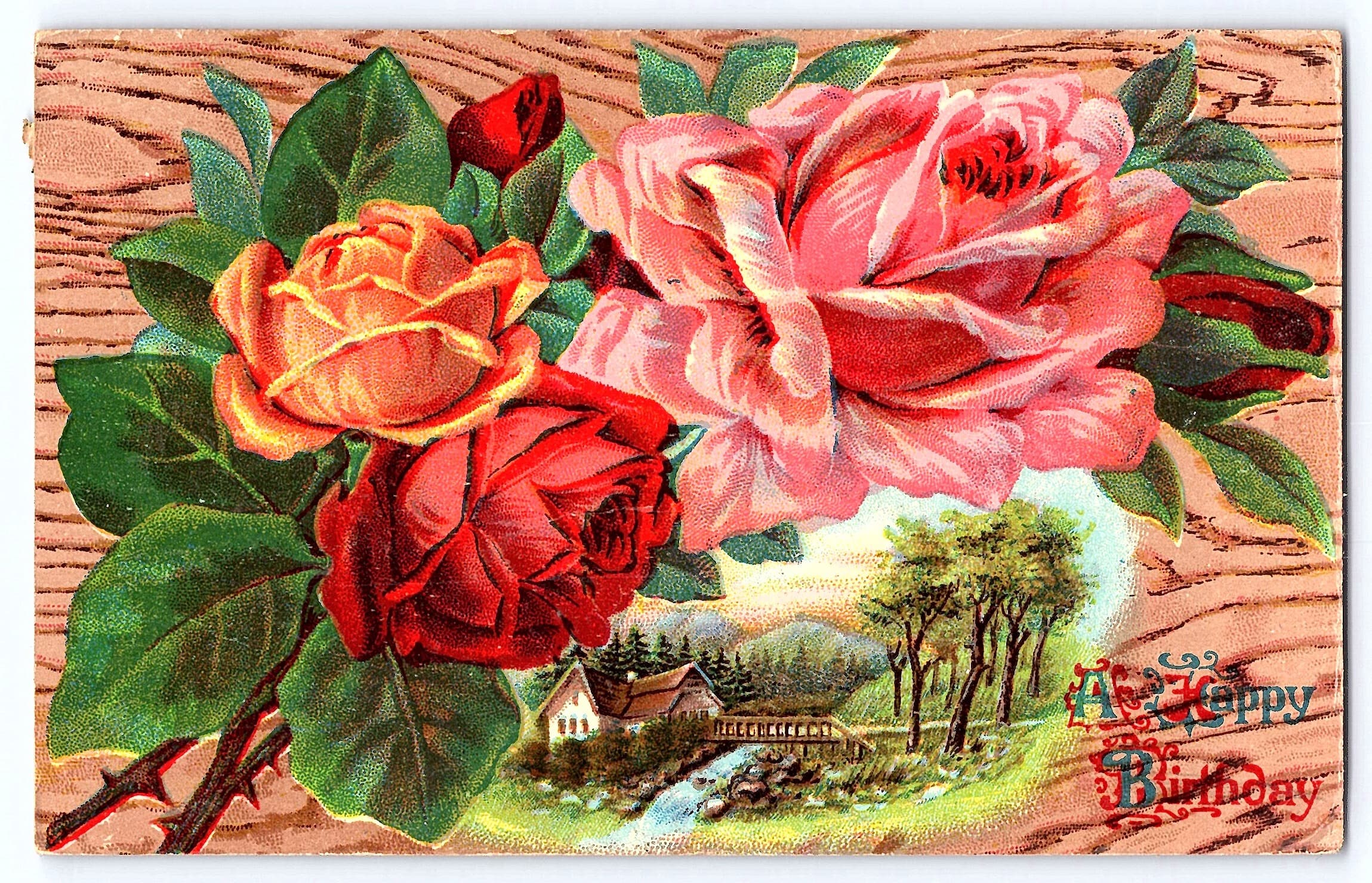 German Publisher, Divided Back, Birthday Roses, Parkston SD, 1912