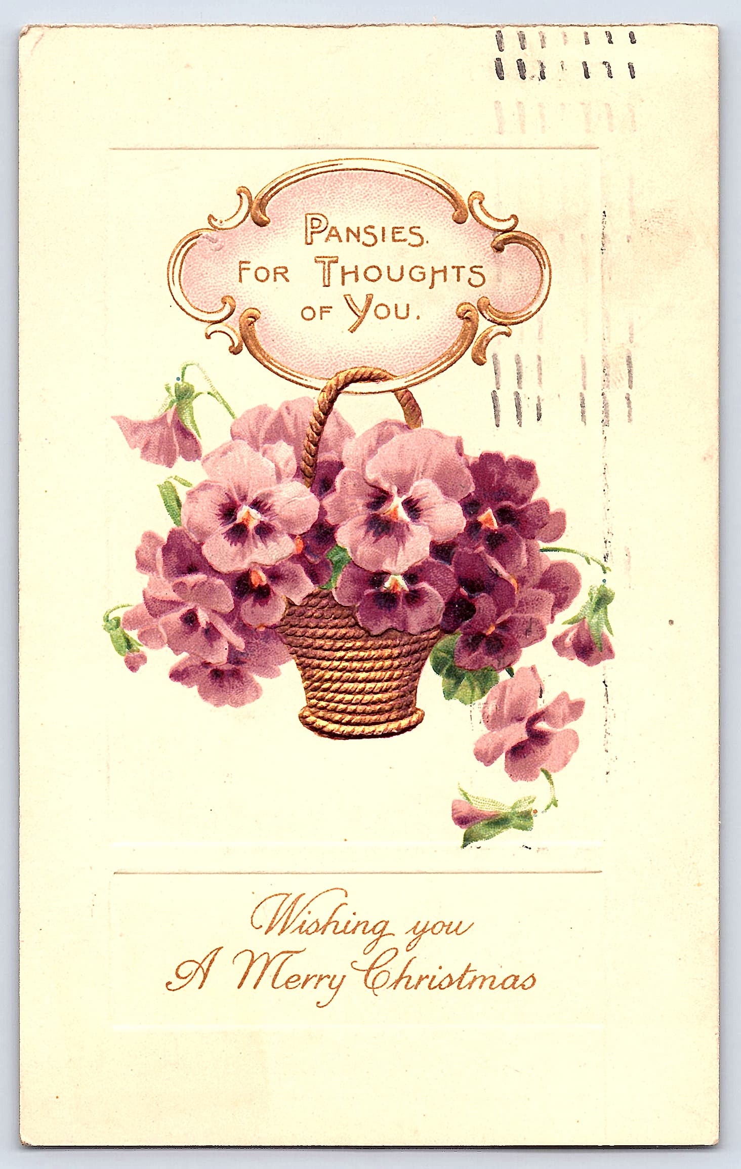 Pansies Christmas Postcard, Divided Back, Louisville KY, 1912