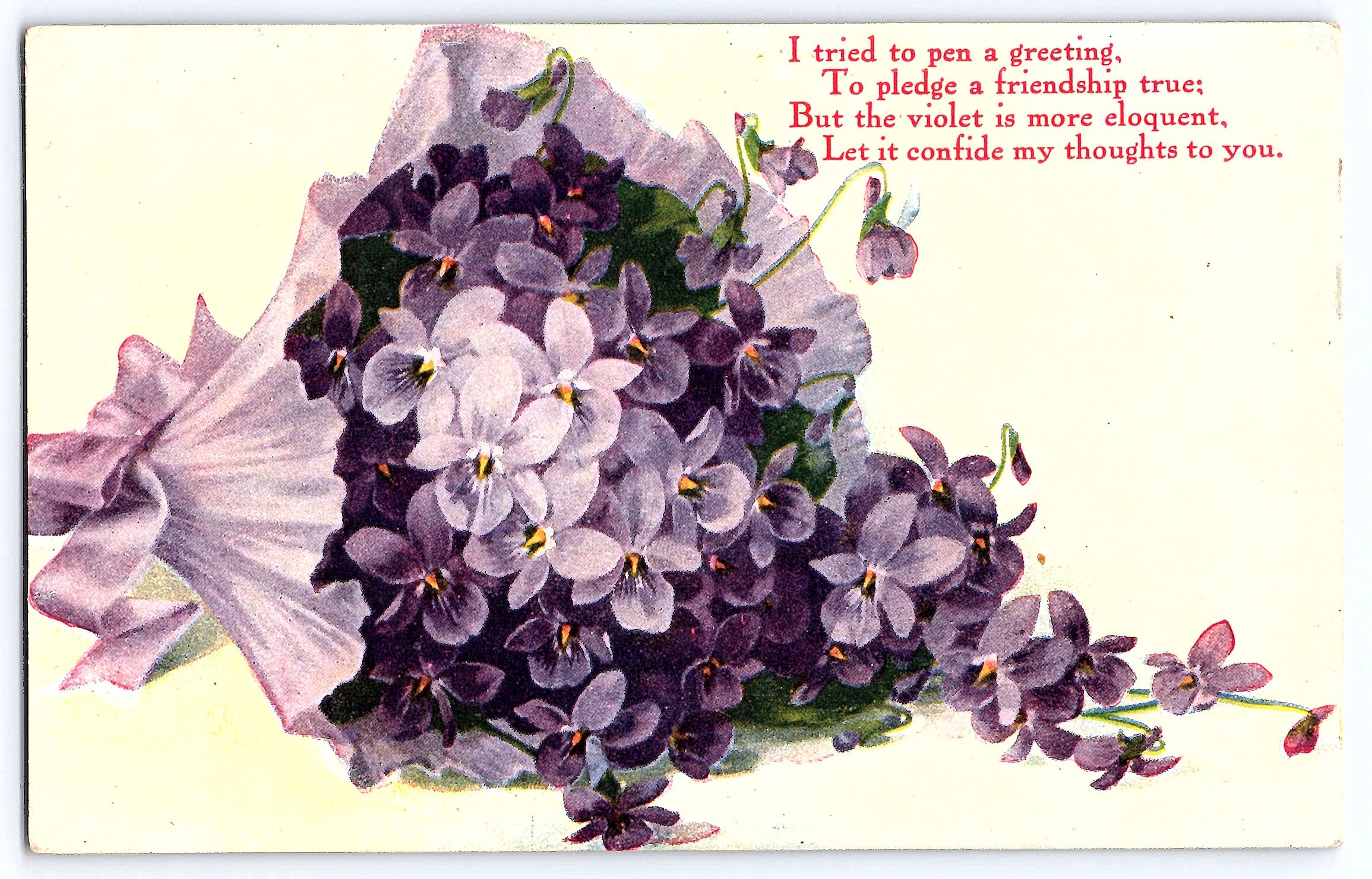 A.C. Co., Divided Back Postcard, Violets Bouquet, 1912