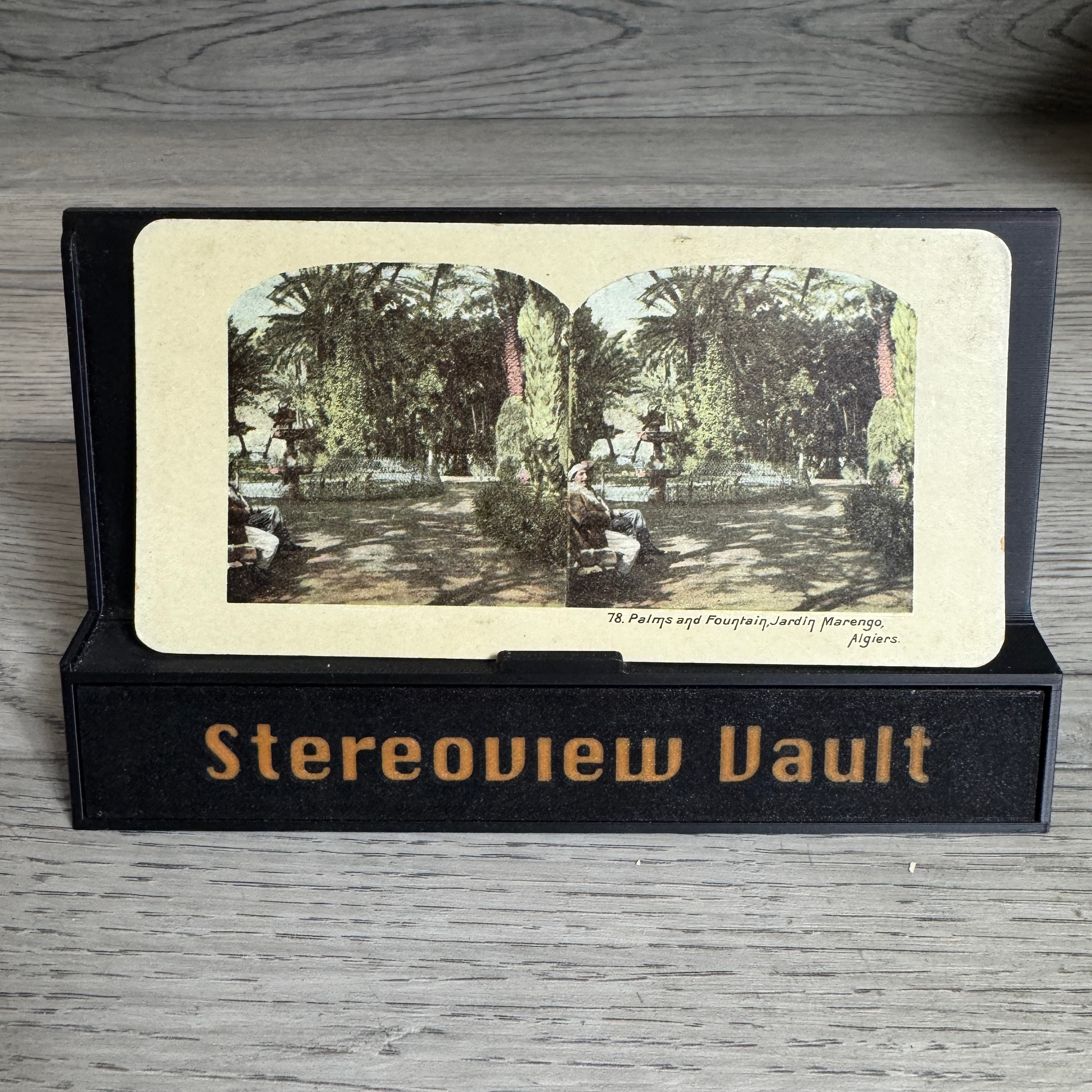 Palms and Fountain, Jardin Marengo, Algiers c. 1900s