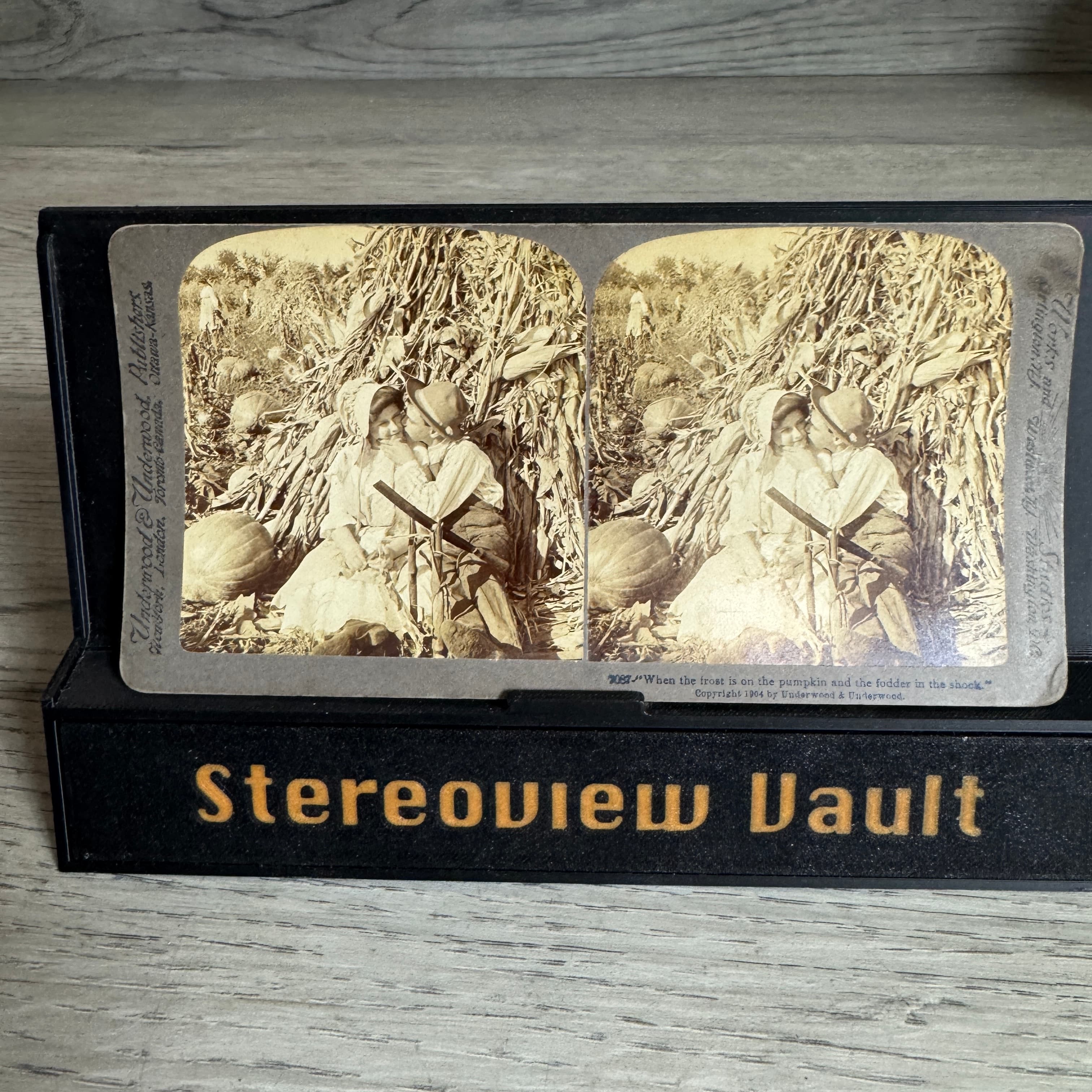 Underwood Stereoview 7057, Couple in Cornfield, c. 1904