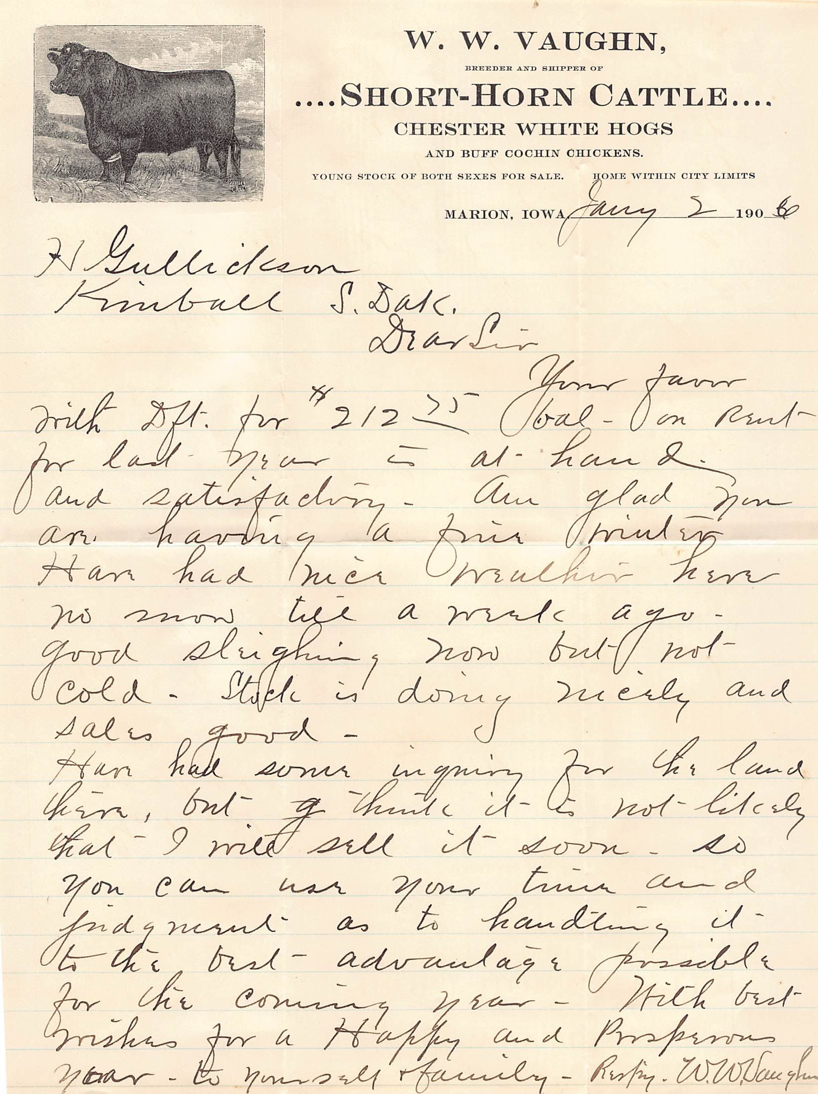 1906 Marion Iowa Short-Horn Cattle Farm Letter w/ Cover – W.W. Vaughn Livestock