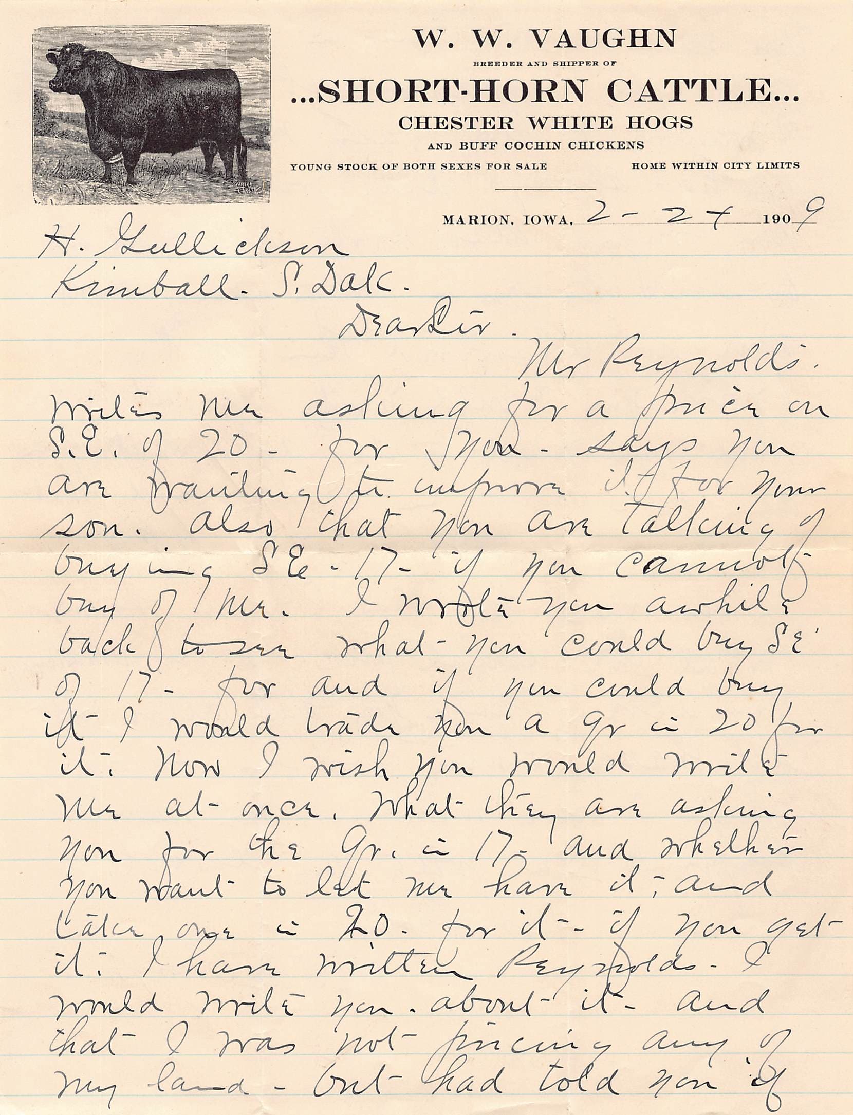 1909 Marion Iowa Short-Horn Cattle Letter w/ Envelope – W.W. Vaughn Farm